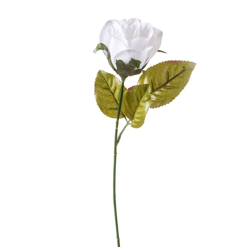 28712-V-1694-01.jpg img